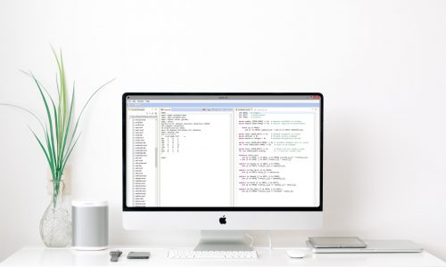 AMPL IDE on a desktop computer